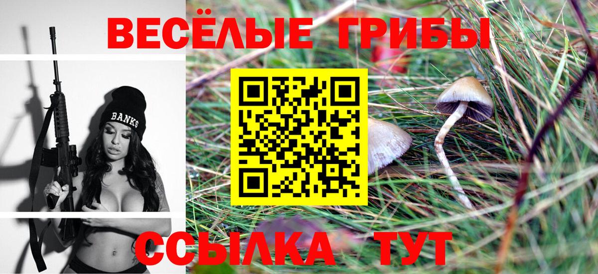 Ржев  Псилоцибиновые грибы Magic Shrooms  Галлюциногенные грибы ЛСД  Вход с VPN 